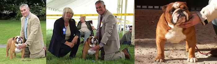 FAMOUS AM AKC CH Mystyle Warrior Ocobo Wins Award
