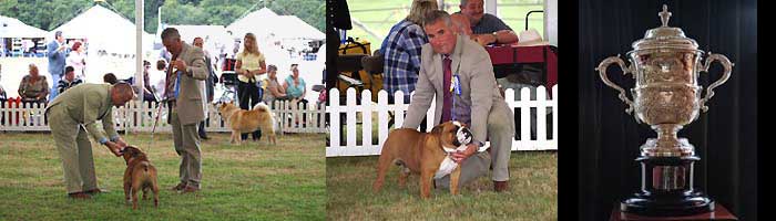 UK CH ROLEX OCOBO at CRUFTS DOG SHOW