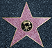 Hollywood Star