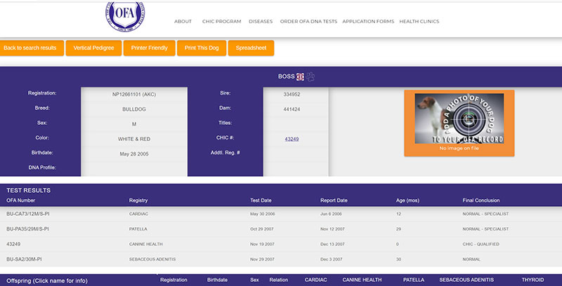 Int Champion Boss OFA Health Certificate
