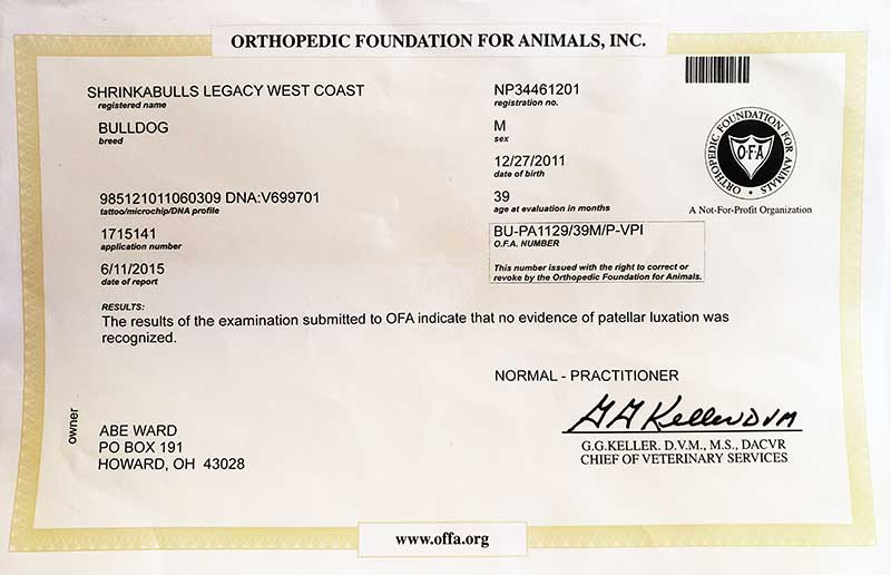 Shrinkabull's Legacy West Coast OFA Health Certificate