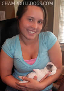 new born English bulldog puppies